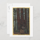 Aussicht auf "Drei Graces" im Big Trees Park Postkarte (Vorne/Hinten)