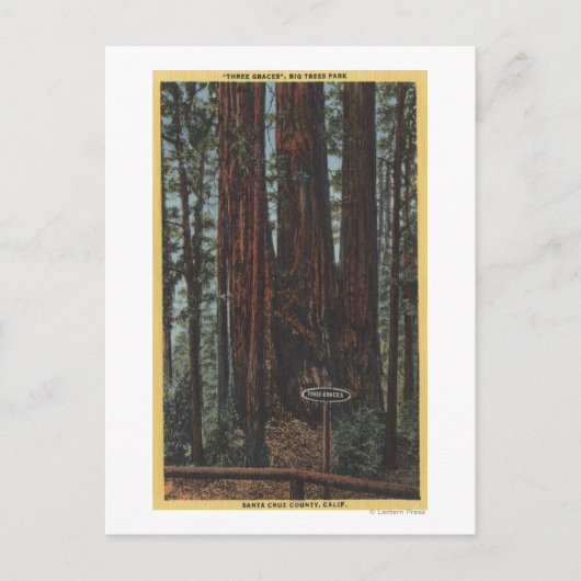 Aussicht auf "Drei Graces" im Big Trees Park Postkarte (Vorderseite)