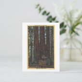 Aussicht auf "Drei Graces" im Big Trees Park Postkarte (Stehend Vorderseite)