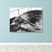 Aussicht auf eine Riesenschildkröte in Gefangensch Leinwanddruck (Insitu (Holzboden))