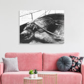 Aussicht auf eine Riesenschildkröte in Gefangensch Leinwanddruck (Insitu (Wohnzimmer))