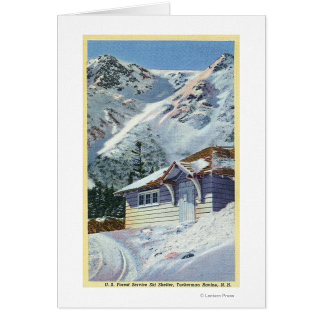 Aussicht auf einen US-Waldschutzhütter (Vorne)