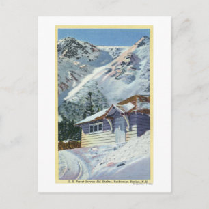 Aussicht auf einen US-Waldschutzhütter Postkarte