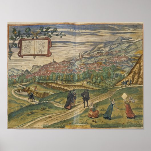 Aussicht auf Granada Poster (Vorne)