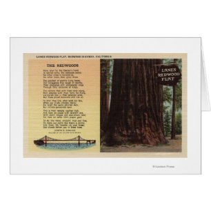 Aussicht auf Lanes - Redwood-Wohnung