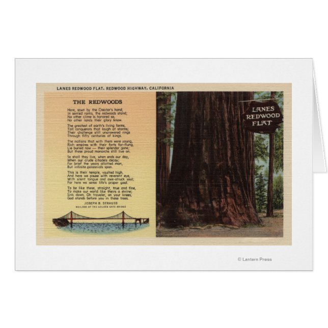 Aussicht auf Lanes - Redwood-Wohnung (Vorderseite (Horizontal))