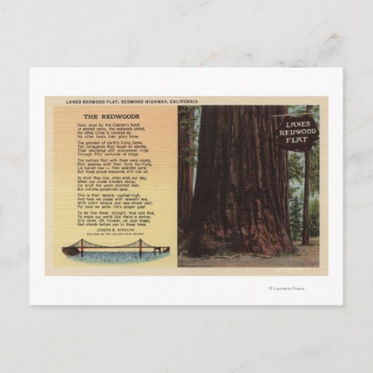 Aussicht auf Lanes - Redwood-Wohnung Postkarte (Vorderseite)