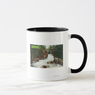 Aussicht auf Lynn Canyon Falls Tasse