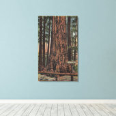 Aussicht auf "Neck Breaker" im Big Trees Park Leinwanddruck (Insitu (Holzboden))