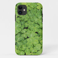 Aussicht auf Oxalis Oregana Wald Sorrel Foliage