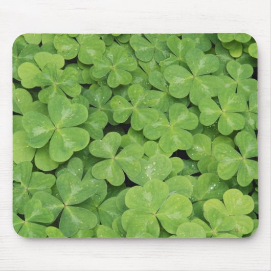 Aussicht auf Oxalis Oregana Wald Sorrel Foliage Mousepad (Vorne)