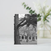 Aussicht auf Park Postkarte (Stehend Vorderseite)