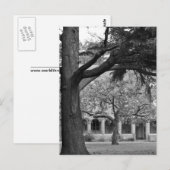 Aussicht auf Park Postkarte (Vorne/Hinten)