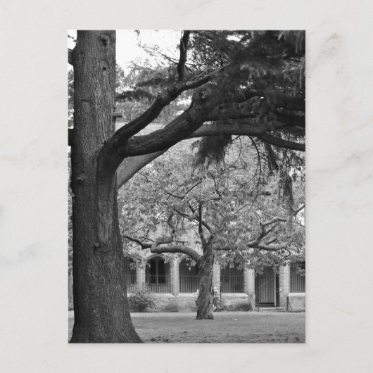 Aussicht auf Park Postkarte (Vorderseite)