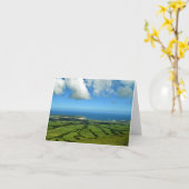 Aussicht auf Praia da Vitoria: Terceira Karte (Gelbe Blume)