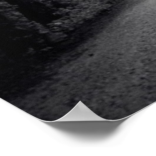 Aussicht auf Sequoia-Bäume im Wald Poster (Ecke)