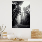 Aussicht auf Sequoia-Bäume im Wald Poster (Küche)