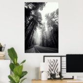 Aussicht auf Sequoia-Bäume im Wald Poster (Heimbüro)