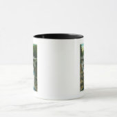 Aussicht auf Split Rock Falls und Bridge Tasse (Zentrum)