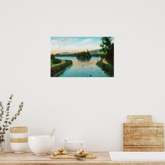 Aussicht auf Stowe Lake am Golden Gate Park Poster (Küche)