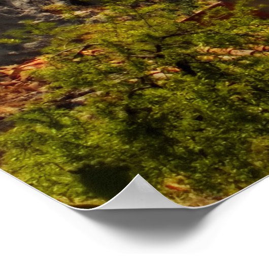 Aussicht auf Taormina 3 Poster (Ecke)