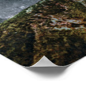 Aussicht auf Wälder Feuer in den Bergen Poster (Ecke)