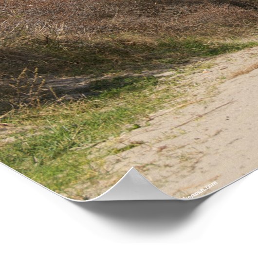 Aussicht aufs Meer Poster (Ecke)