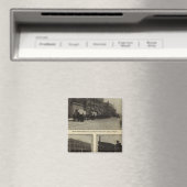Aussicht, Boise, Idaho Magnet (In Situ (Geschirrspüler))