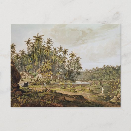 Aussicht in der Nähe von Point du Galle, Ceylon Postkarte (Vorderseite)