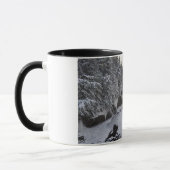 Aussicht-Schlucht im Winter Tasse (Links)