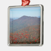 Aussicht vom Craggy Dome Mountain Silbernes Ornament (Links)