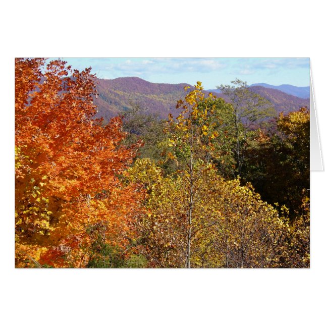 Aussicht vom Franklin Berg (Vorderseite (Horizontal))