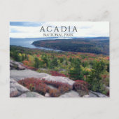 Aussicht vom Gorham Mountain Acadia Nationalpark,  Postkarte (Vorderseite)