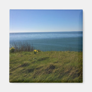 Aussicht vom Leuchtturm von Cape Enttäuschung, Was Magnet