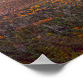 Aussicht vom Mansfield, Vermont, im Herbst Poster (Ecke)