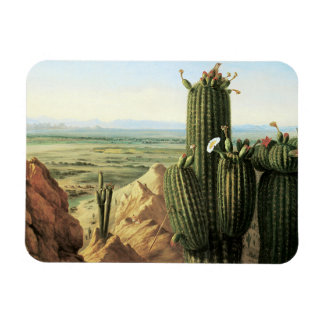 Aussicht vom Maricopa Berg in der Nähe des Flusses Magnet