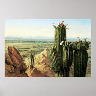 Aussicht vom Maricopa Berg in der Nähe des Flusses Poster
