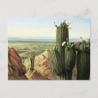 Aussicht vom Maricopa Berg in der Nähe des Flusses Postkarte