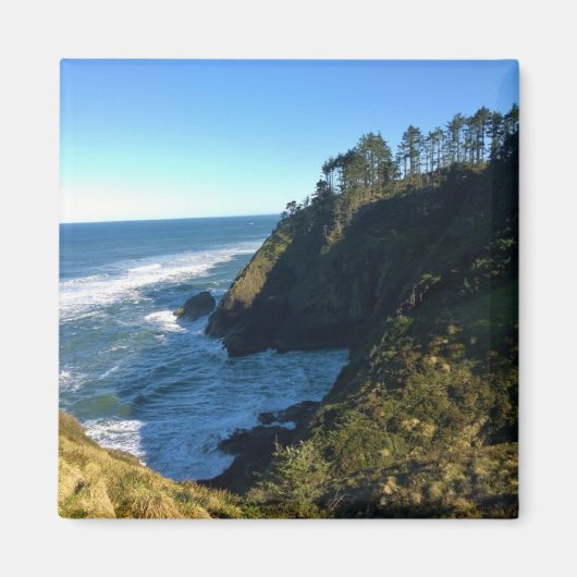 Aussicht vom Nord Head Lighthouse, Washington Magnet (Vorne)