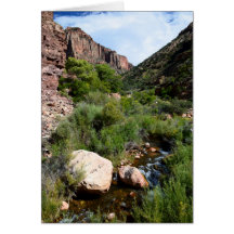 Aussicht vom North Kaibab Trail