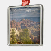 Aussicht vom North Rim Visitor Center - Grand Silbernes Ornament (Links)