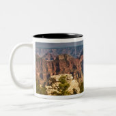 Aussicht vom North Rim Visitor Center - Grand Zweifarbige Tasse (Links)
