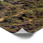Aussicht vom Wanderweg im Griffith Park Poster (Ecke)