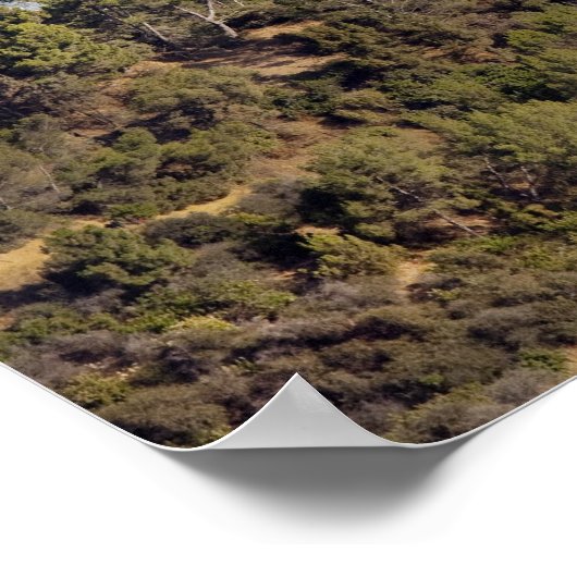 Aussicht vom Wanderweg im Griffith Park Poster (Ecke)