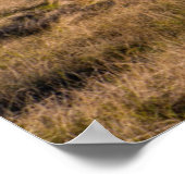 Aussicht von der Bergspitze aus Poster (Ecke)