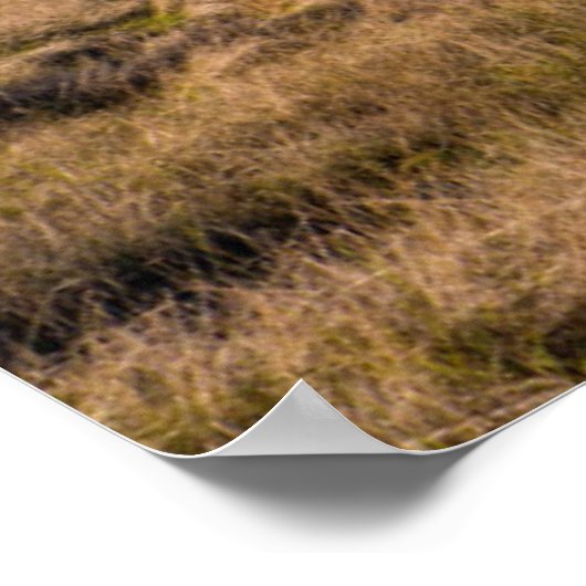 Aussicht von der Bergspitze aus Poster (Ecke)