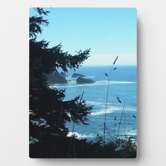 Aussicht von der Hart's Cove, Oregon Coast Fotoplatte (Vorderseite)