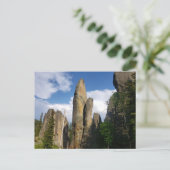 Aussicht von der Needles Highway, South Dakota Postkarte (Stehend Vorderseite)