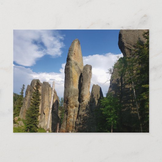 Aussicht von der Needles Highway, South Dakota Postkarte (Vorderseite)