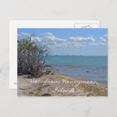 Aussicht von Honeymoon Island Postkarte (Vorne/Hinten)